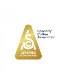 Paderno 9-Cup Balanced-Brew Coffee Maker | Cafetière Balanced Brew, 9 tasses Coffee & Tea 9 Paderno 9-Cup Balanced-Brew Coffee Maker | Cafetière Balanced Brew, 9 tasses Coffee & Tea