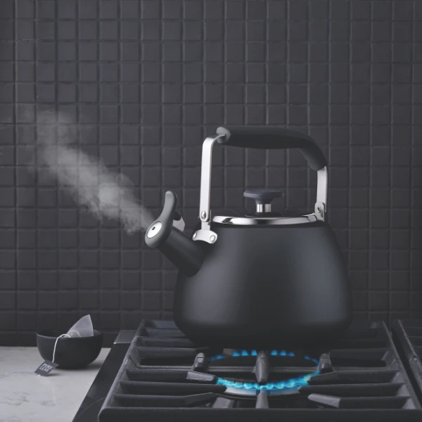 Paderno Stormy Black Stainless Steel Stovetop Kettle | Bouilloire Sur La Cuisinière En Acier Inoxydable Noir Tempête 4 Paderno Stormy Black Stainless Steel Stovetop Kettle | Bouilloire Sur La Cuisinière En Acier Inoxydable Noir Tempête