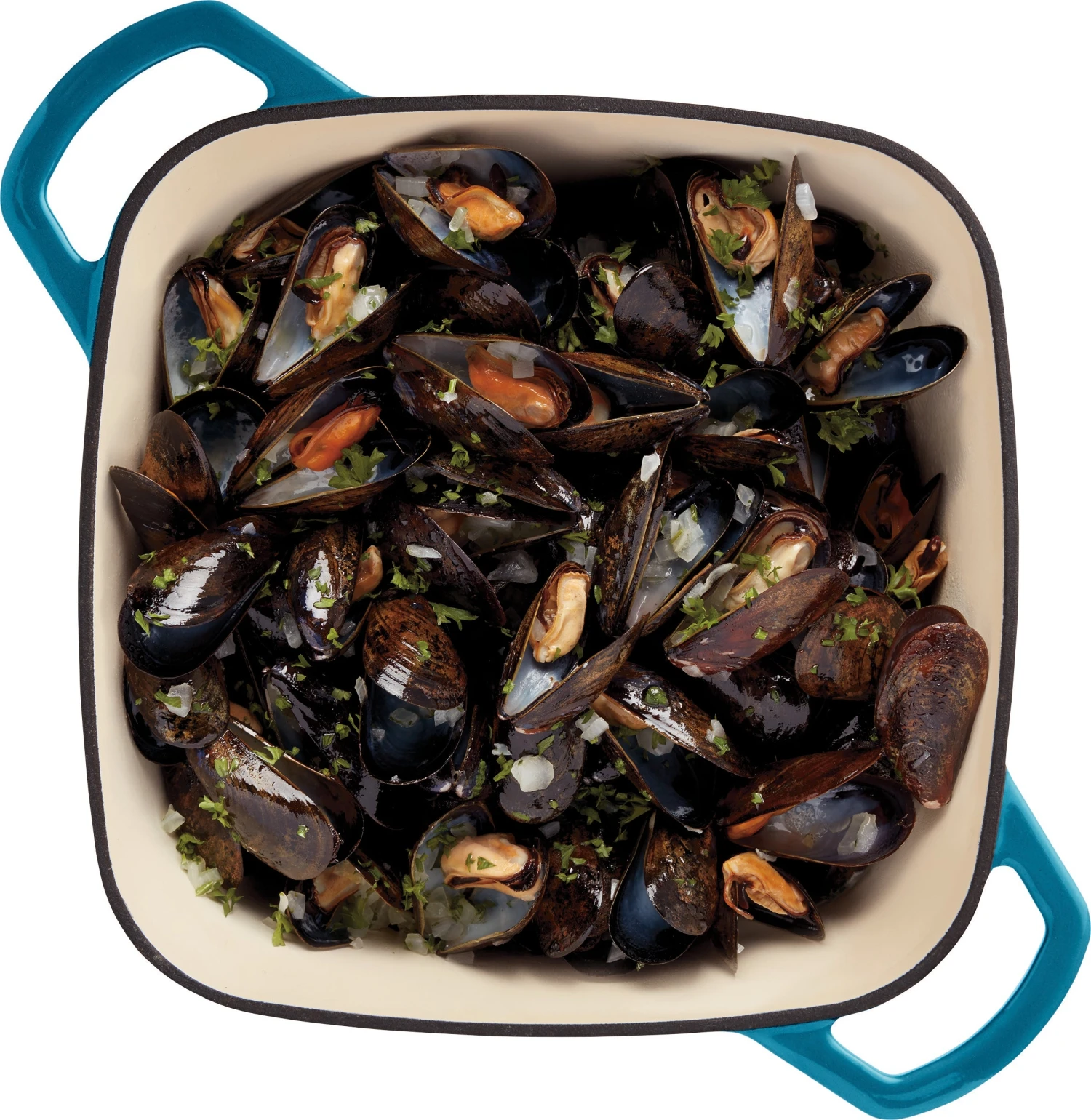 Paderno Dutch Oven 5 Quarts, Teal | Cocotte En Fonte 5 Pintes, Sarcelle Cookware 6 Paderno Dutch Oven 5 Quarts, Teal | Cocotte En Fonte 5 Pintes, Sarcelle Cookware